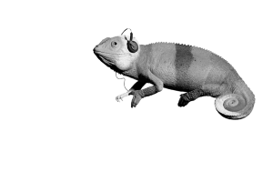 jazz